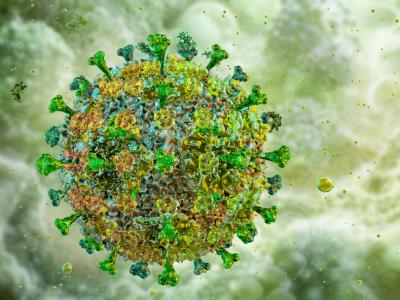 Lassa virus illustration