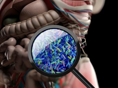 Gut microbiome