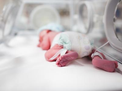 newborn in incubator