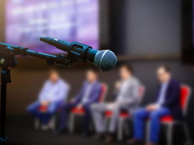 panel and microphone