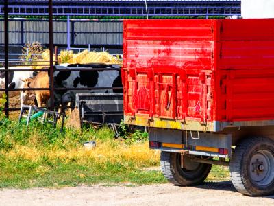 truck on a farm