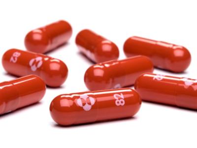 8 capsules of molnupiravir