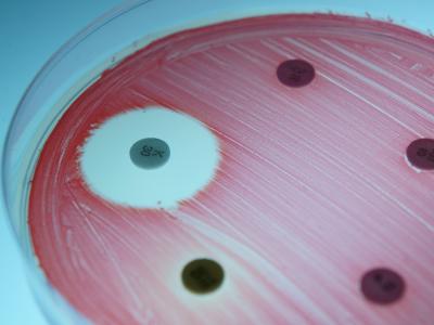 Antibiotic susceptibility test