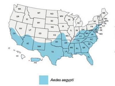 Aedes map