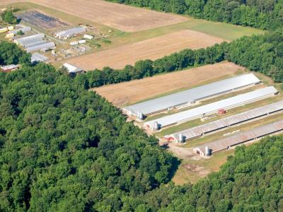Poultry farm, aerial view
