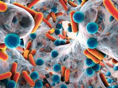 Biofilm of antibiotic-resistant bacteria