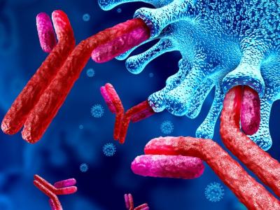 Antibodies attacking a virus illustration