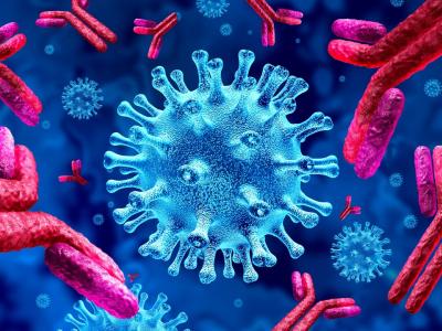 Antibodies attacking viruses