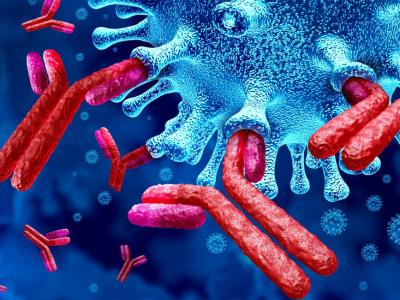 Antibodies attacking virus