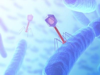 Bacteriophages