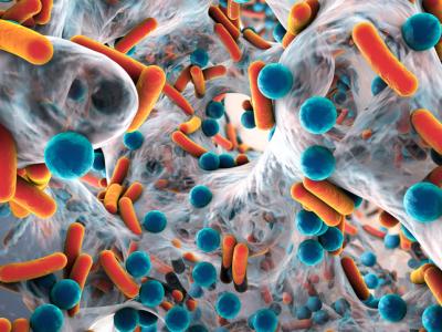 Biofilm of antibiotic-resistant bacteria