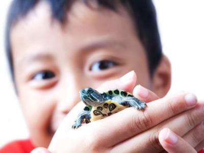 Boy with turtle