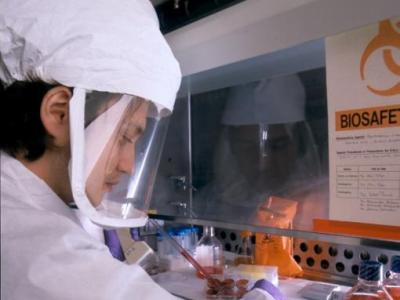 BSL-3 lab worker