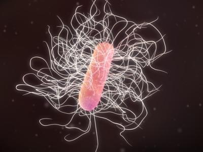 C difficile