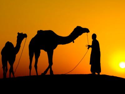 Camel and man silhouette