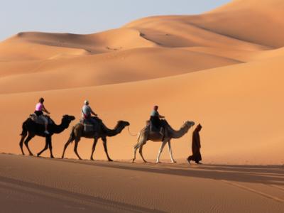 Camel caravan