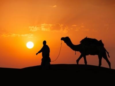 Cameleer and camel