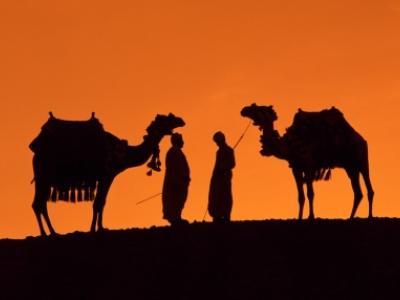 Camels and men in desert