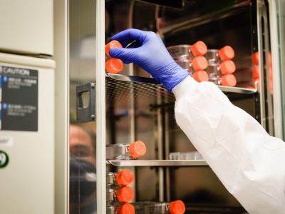 Cell culture incubator in laboratory