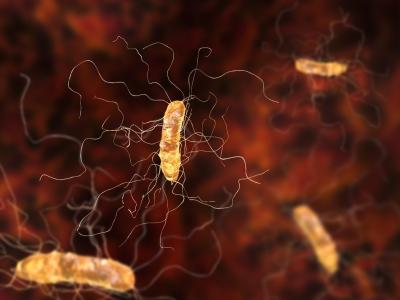 Clostridium difficile