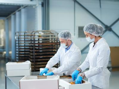 Confectionery factory employees