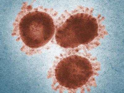 Coronavirus