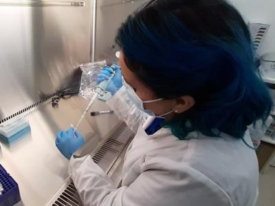 COVID-19 lab worker