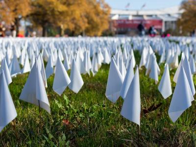 White COVID memorial flags