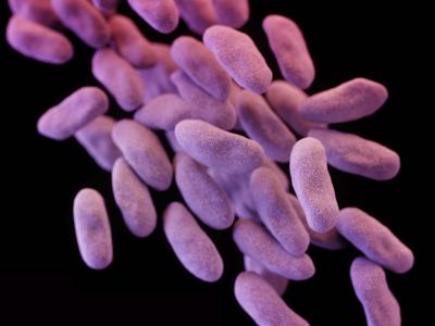 Carbapenem-resistant Enterobacteriaceae