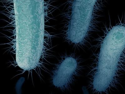 Antibiotic-resistant superbugs
