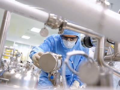 Dengue vaccine production