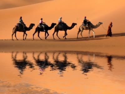 Camels with riders in a desert setting