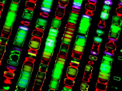 DNA sequence
