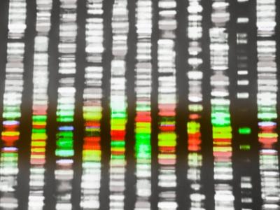 DNA sequencing