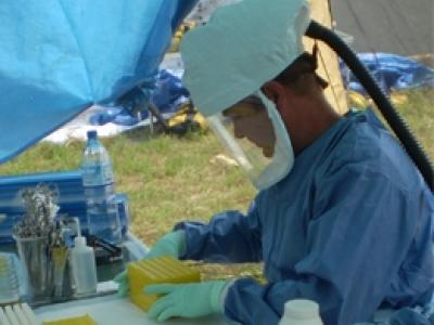 Ebola response