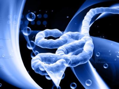 Ebola virus