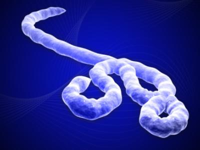 Ebola virus