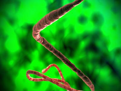Ebola virus