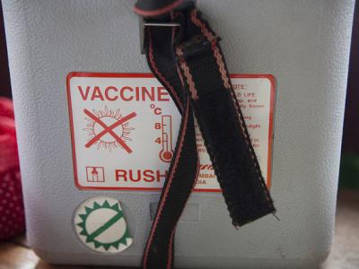 Ebola vaccine