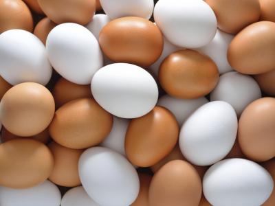 Chicken eggs