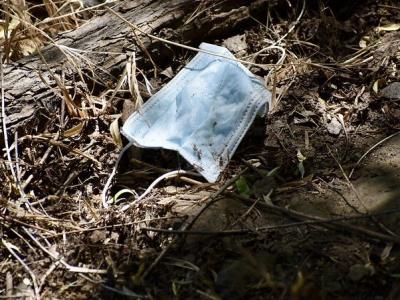 Face mask on forest floor