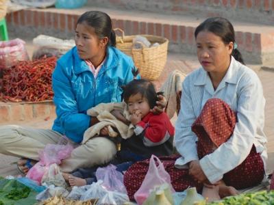 Family food market