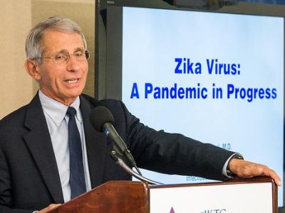 Tony Fauci, MD