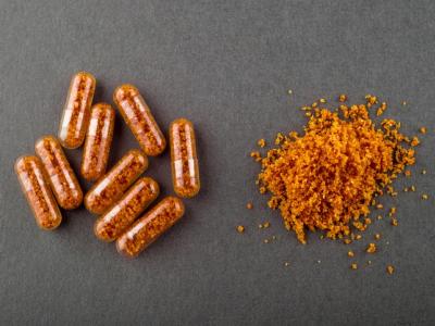 Fecal transplant pills