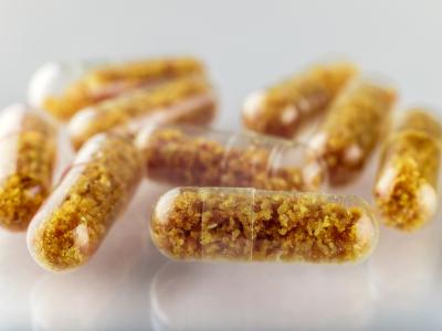 fecal transplant pills