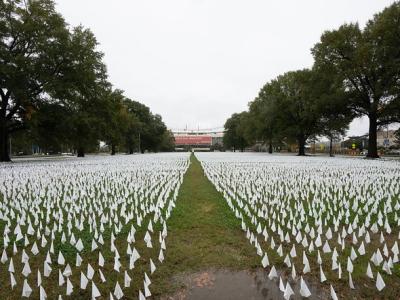 White flags representing COVID-19 deaths