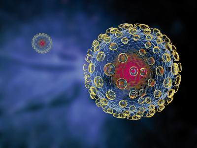 Influenza virus