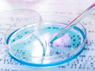 Genetic research petri dish