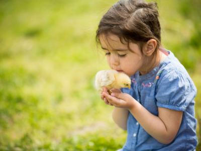 Girl with chick