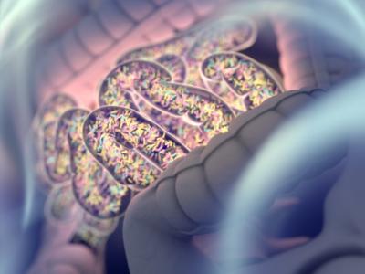 Gut microbiome